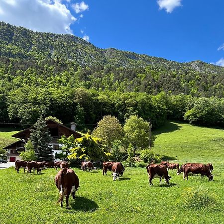 Appartement Lapreski, Spacieux, Proche Lac D'Annecy, Randonnees Montagne Thônes Exterior foto