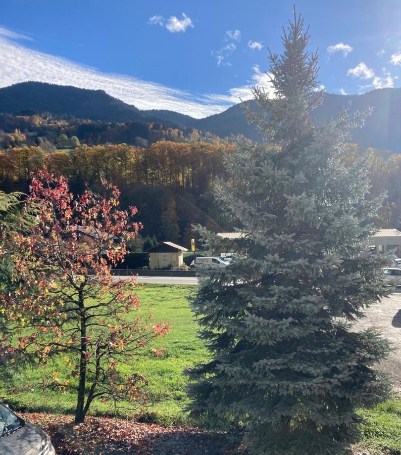 Appartement Lapreski, Spacieux, Proche Lac D'Annecy, Randonnees Montagne Thônes Exterior foto