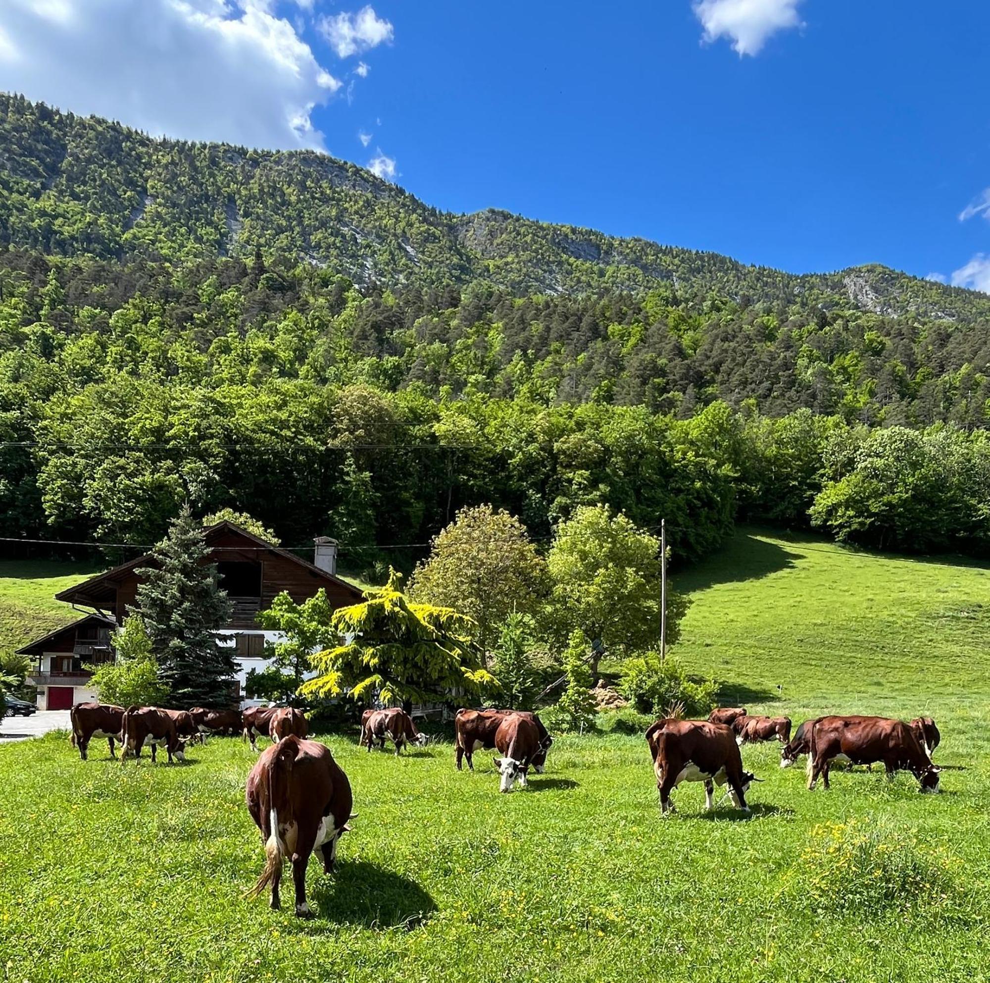 Appartement Lapreski, Spacieux, Proche Lac D'Annecy, Randonnees Montagne Thônes Exterior foto